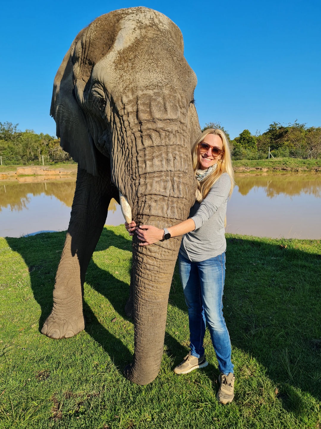 lisa con elefante lisa con elefante